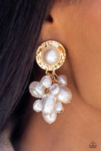 Load image into Gallery viewer, Fiercely 5th Avenue 0823- Complete Trend Blend Paparazzi
